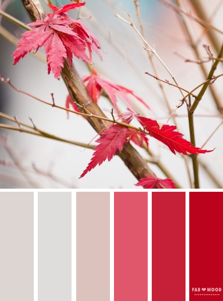 Autumn winter color palette inspired by autumn leaves