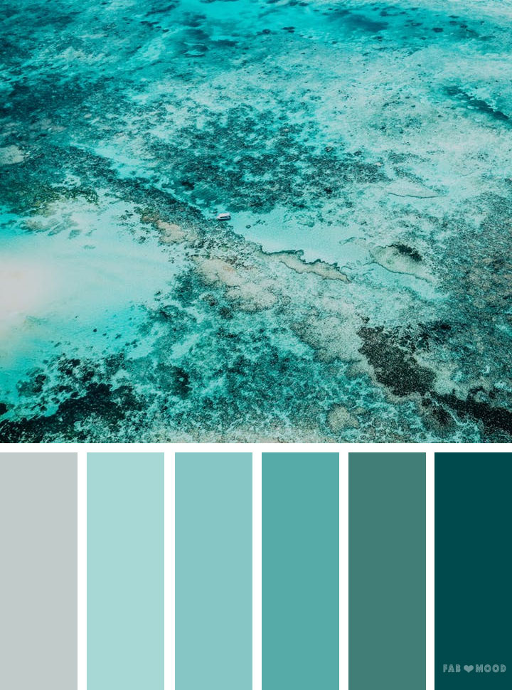 Shades of green ocean inspired color palette,wedding color inspiration #color #colorpalette #colorscheme #pantone #wedding