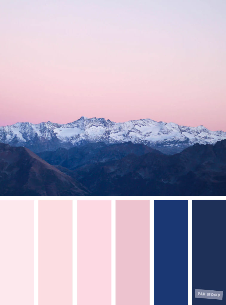Blush and navy blue ,Blush tones : Pretty blush color scheme ,blush color combinations #blush #color #colorpalette