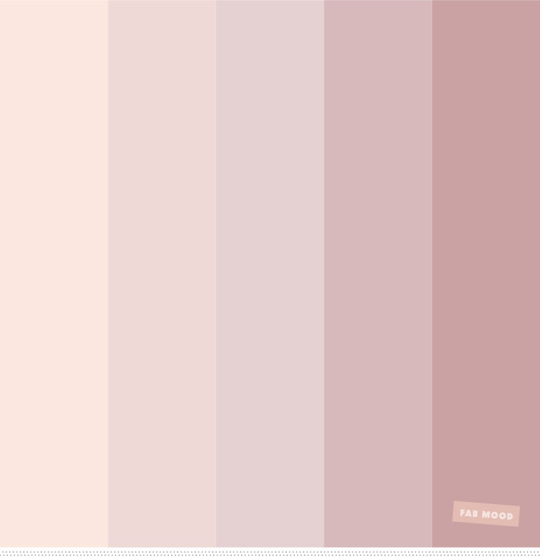 Blush tones : Pretty blush color scheme