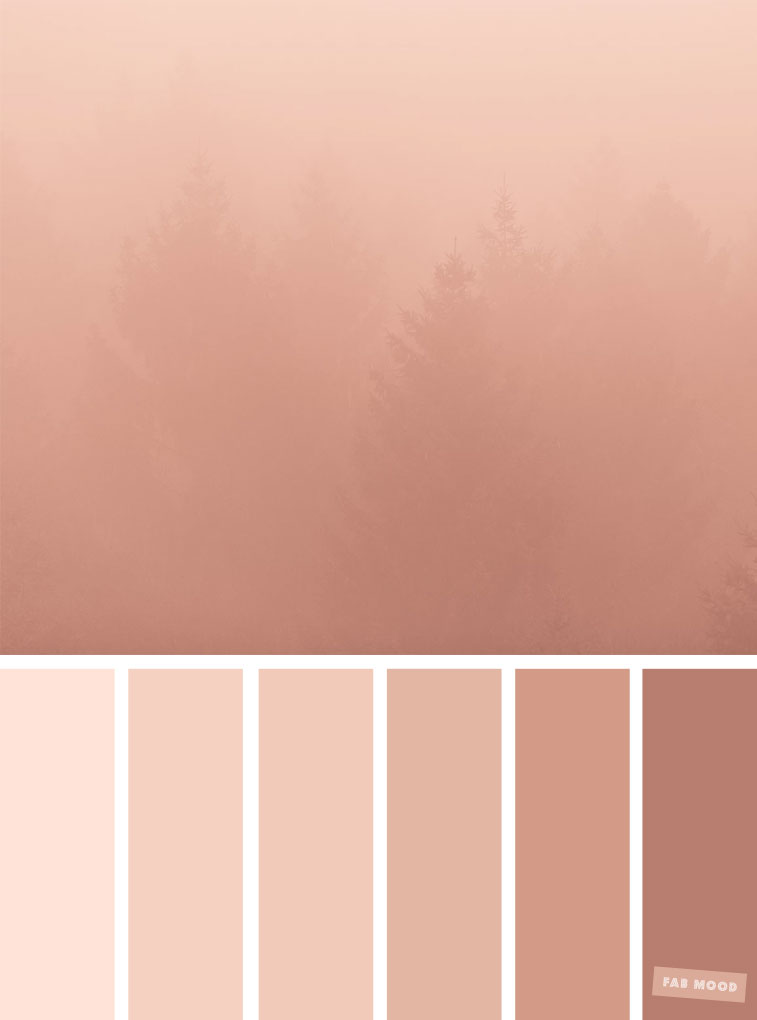 Blush Tones : Pretty Blush Color Scheme