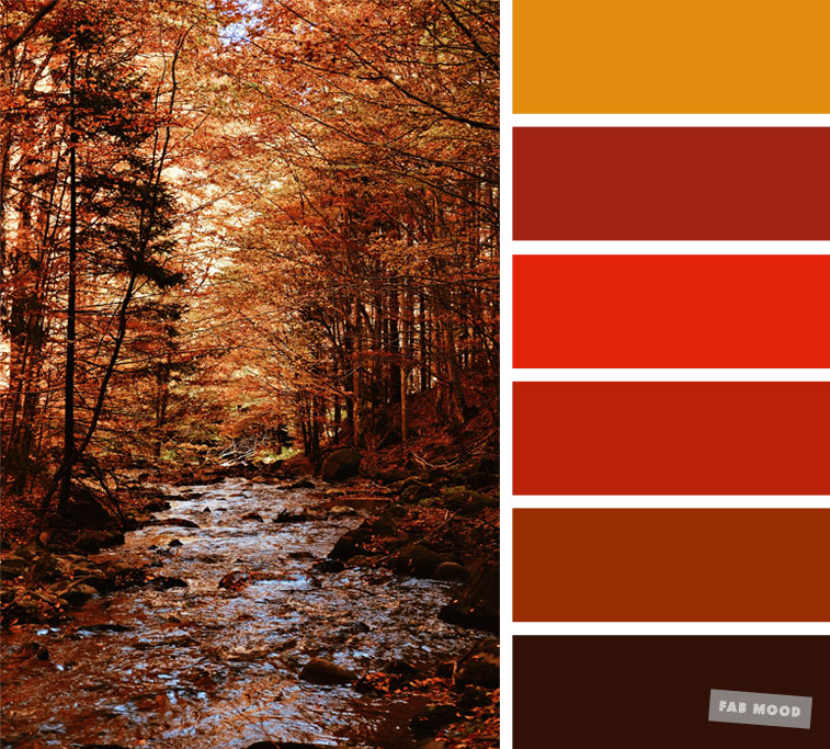 59 Pretty Autumn Color Schemes { Burnt orange + Brown } color palette #color #colorscheme #colorpalette #fall #autumncolour #autumn #fallcolor