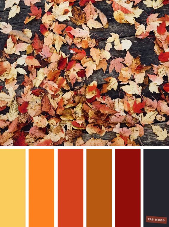 59 Pretty Autumn Color Schemes  Shades Of Autumn Leaves 