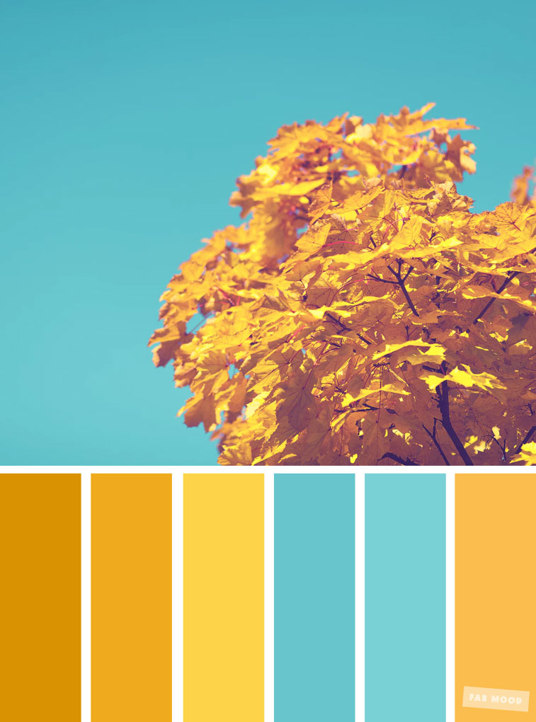 Blue and yellow Autumn color scheme, color palette #color #colorscheme #colorpalette #fall #autumncolour #autumn #fallcolor