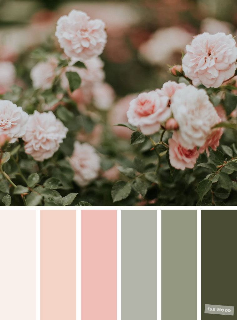 Pretty Spring Color Schemes { Blush + Sage } color palette #color #colorscheme #colorpalette #springcolour #spring #colors