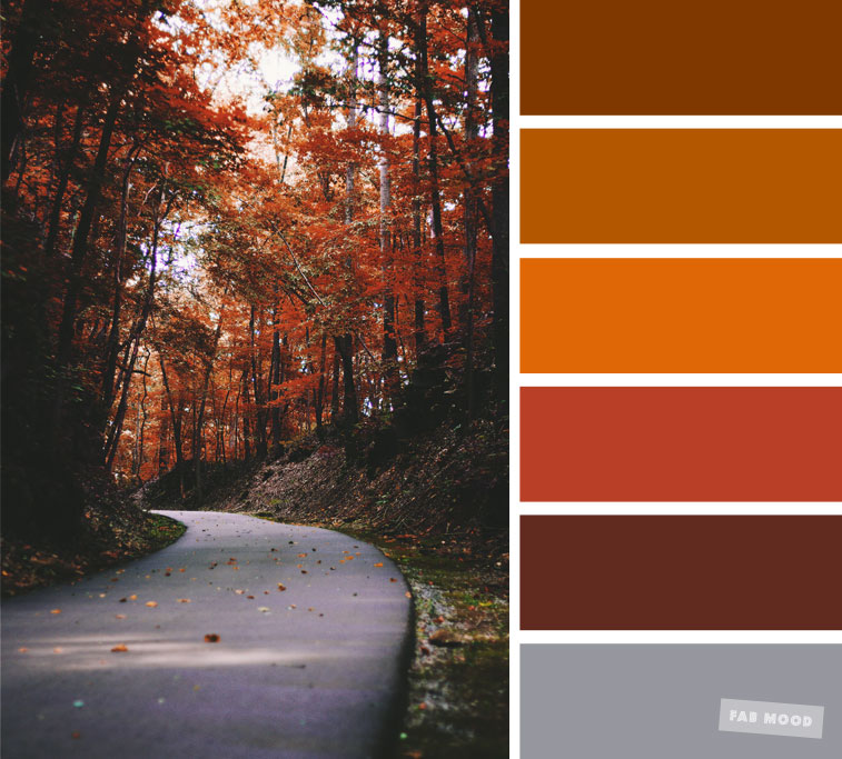 59 Pretty Autumn Color Schemes { Orange autumn leaves }