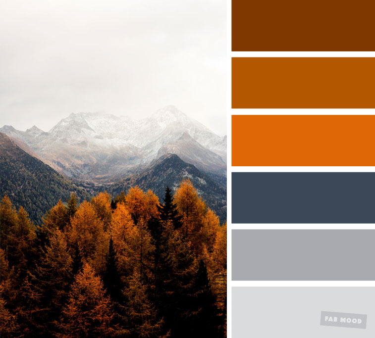 59 Pretty Autumn Color Schemes { Smokey + burnt orange color palette } Autumn color scheme, color palette #color #colorscheme #colorpalette #fall #autumncolour #autumn #fallcolor