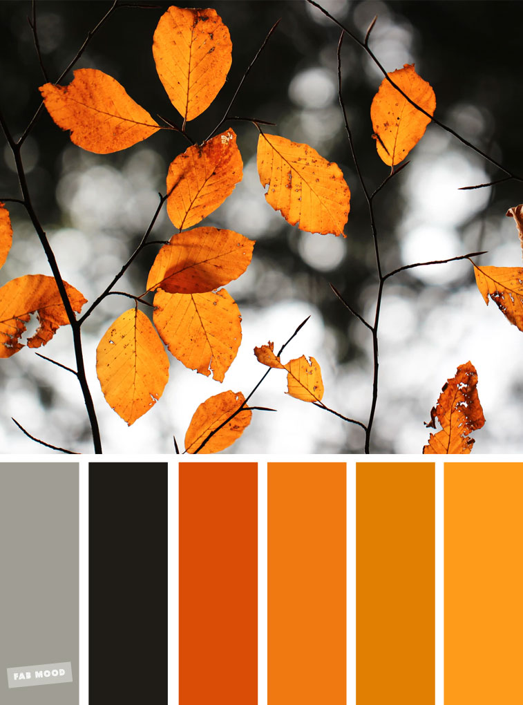 59 Pretty Autumn Color Schemes  -Burnt orange autumn leave color inspiration #autumn #leaves #burntorange #fall