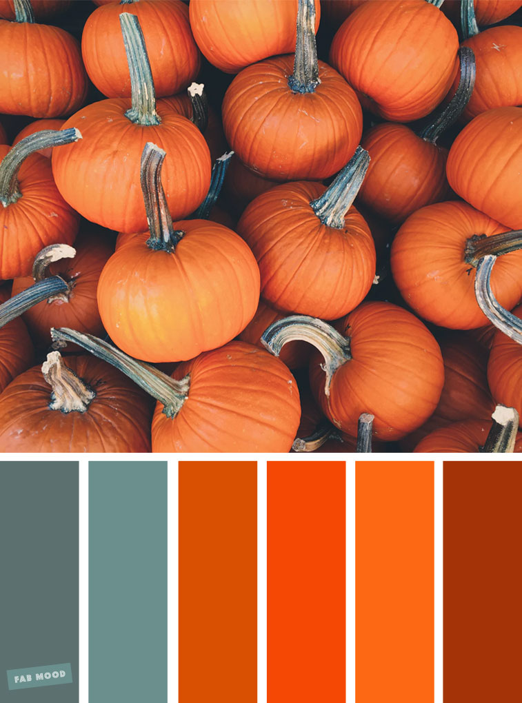 59 Pretty Autumn Color Schemes – { Orange Pumpkin Colour Inspiration }