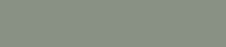 grey green paint, masculine grey green , grey green color, grey green paint color