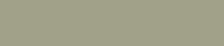 mid aged green, mid green, sage green color, sage green paint color, sage green paint