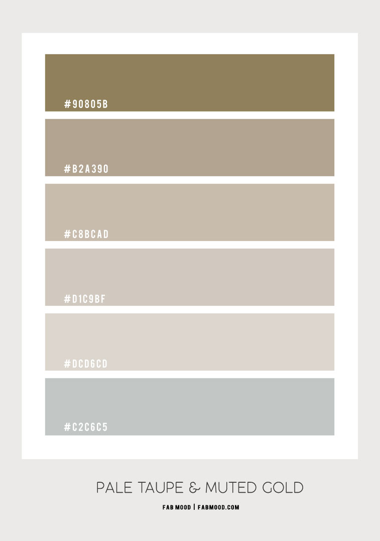 pale taupe hex color, pale tuape , pale taupe color, pale taupe hex colour , taupe color #paletaupe #colorpalette