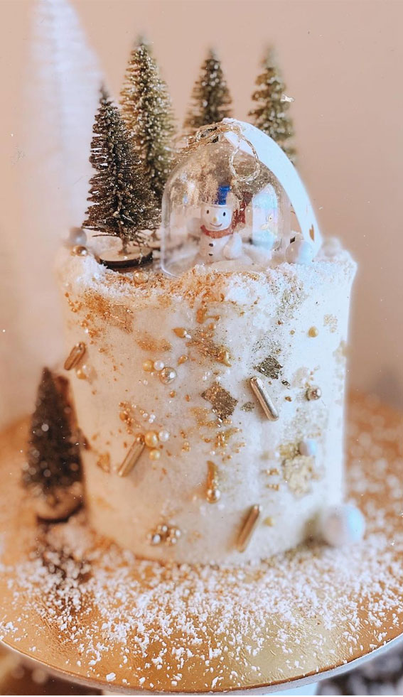 Winter Cake Ideas Must Try This​ Winter​ Season : Snow globe & Winter Wonderland Cake