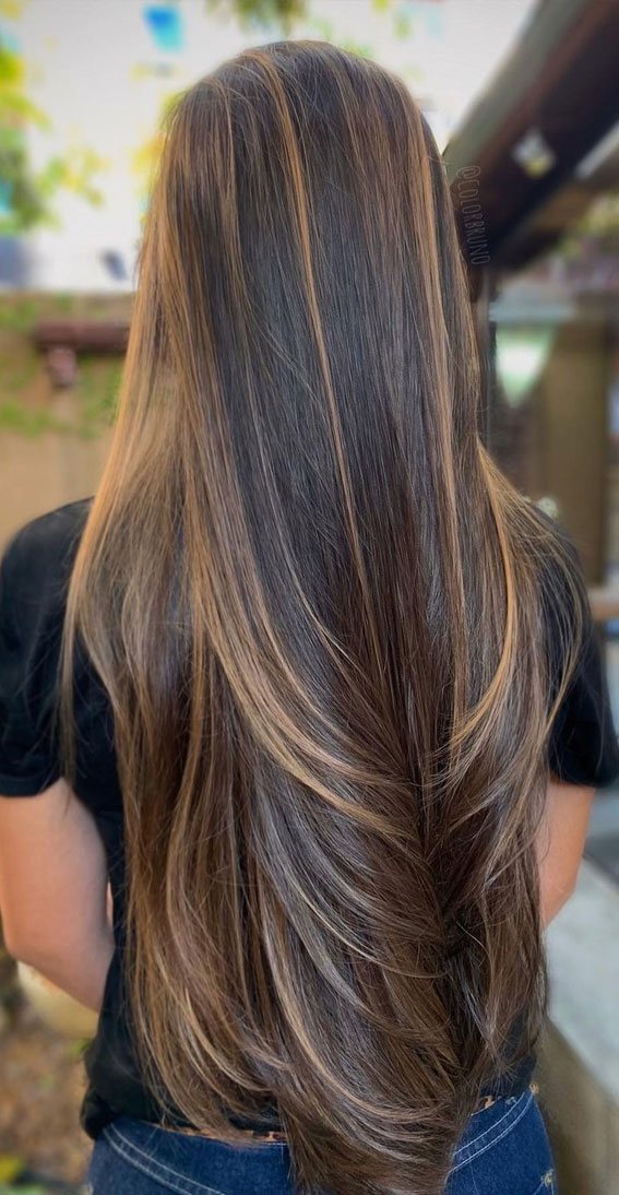 Gorgeous Hair Colour Trends For 2021 : Light Brown Highlights