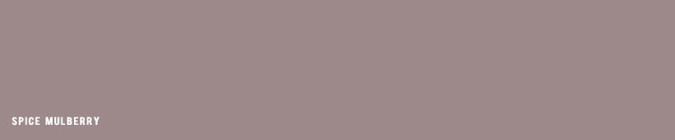 Spice Mulberry paint, muted grey mauve paint