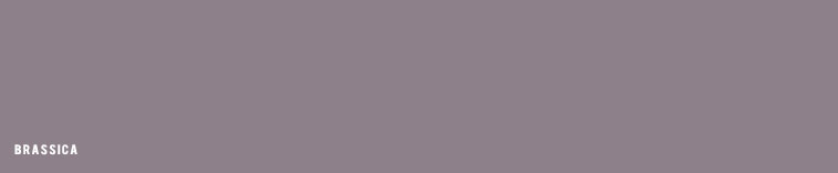 brassica paint, muted grey mauve paint