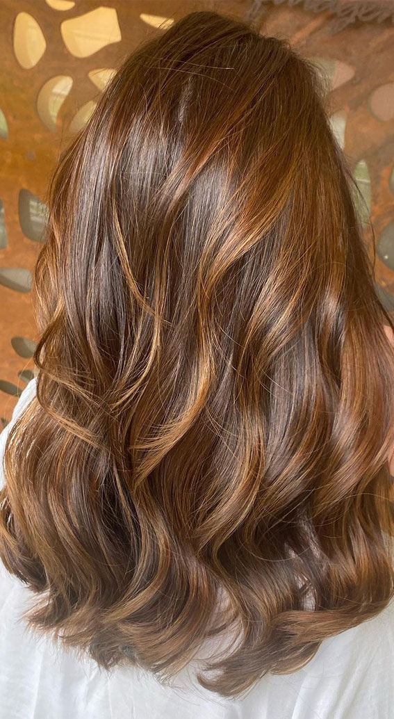63 Charming hair colour ideas & hairstyles : Charming Brown Hair with  highlights