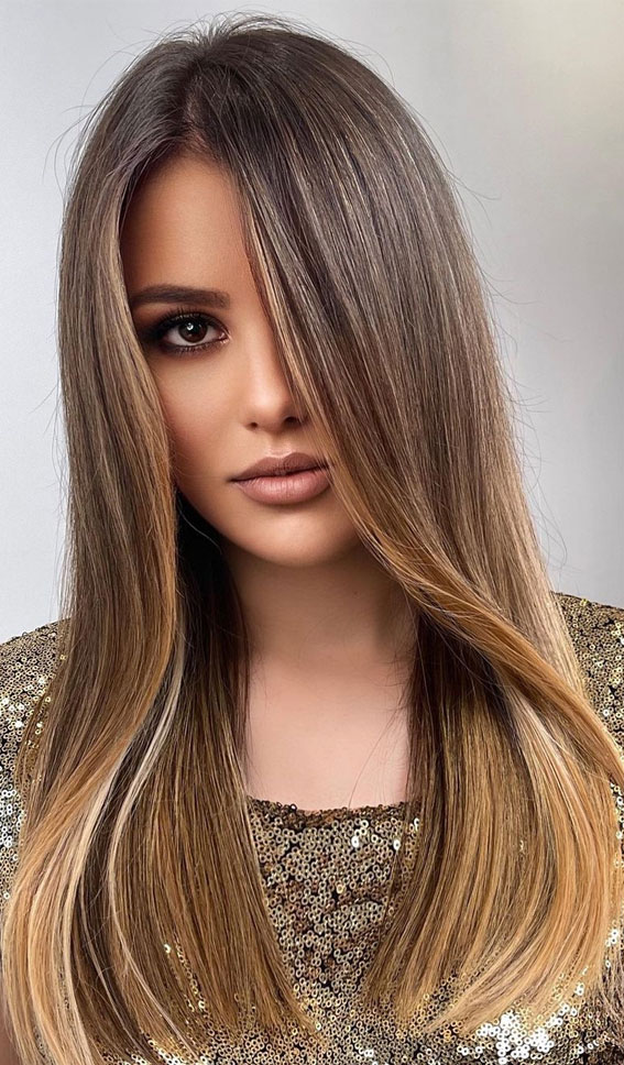 63 Charming hair colour ideas & hairstyles : Balayage brown hair with honey blonde end tips