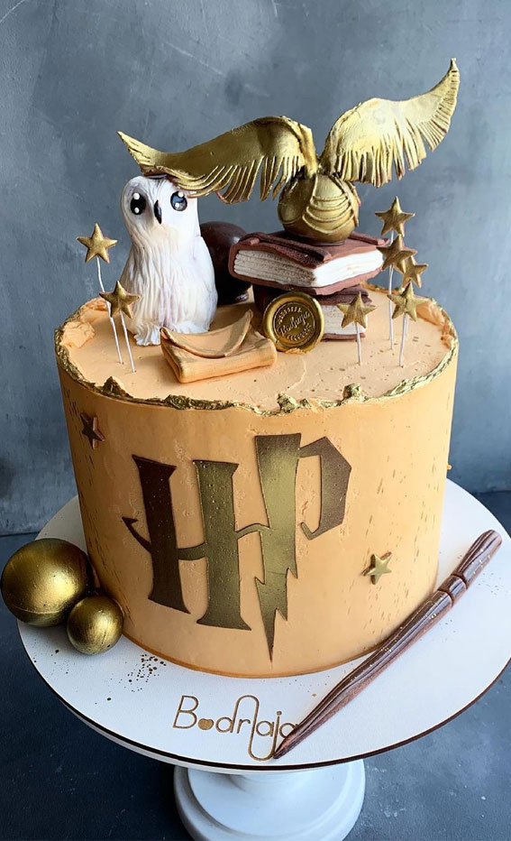 30+ Cute Harry Potter Cake Designs : Golden Snitch Pink Ombre Cake