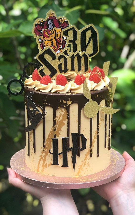 30+ Cute Harry Potter Cake Designs : Dark Chocolate & Raspberry Cake