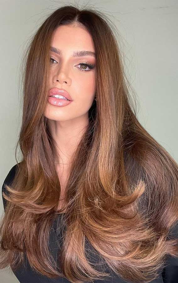 50 Trendy Hair Colors To Wear in Winter : Cinnamon Brown Long Hair with  Blowout Floppy Ends