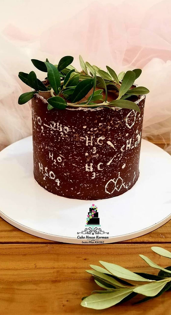 25 Winter Cakes For Your Holiday Festive : Winter Chocolate Cake Topped with Green Leaves
