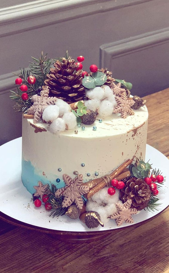 25 Winter Cakes For Your Holiday Festive : Two Tone Winter Cake Topped with Cookies