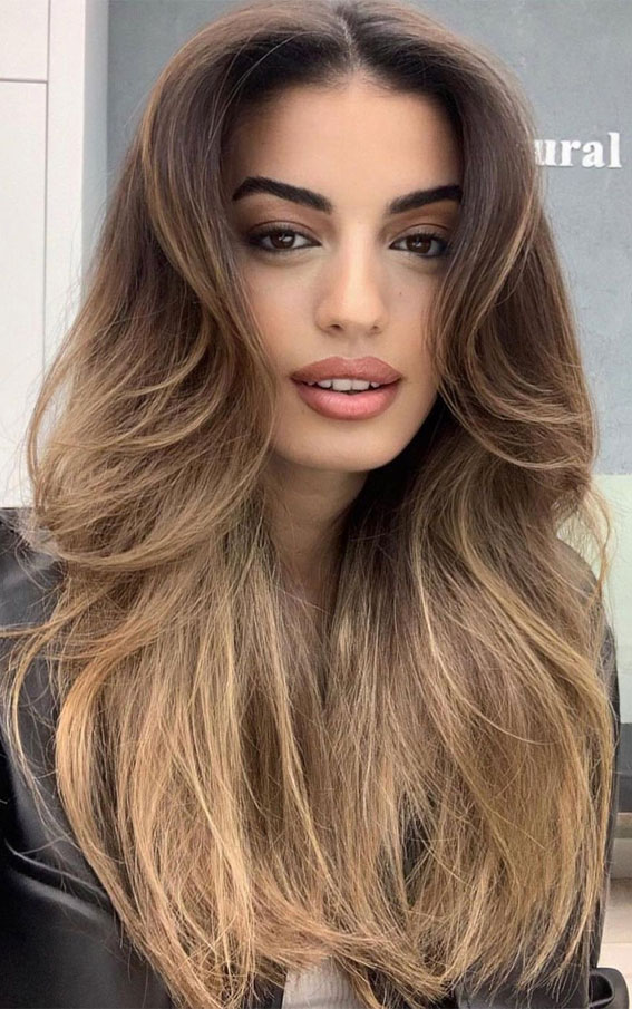 50 Stylish Brown Hair Colors & Styles for 2022 : Honey Blonde Ombre Brown Hair