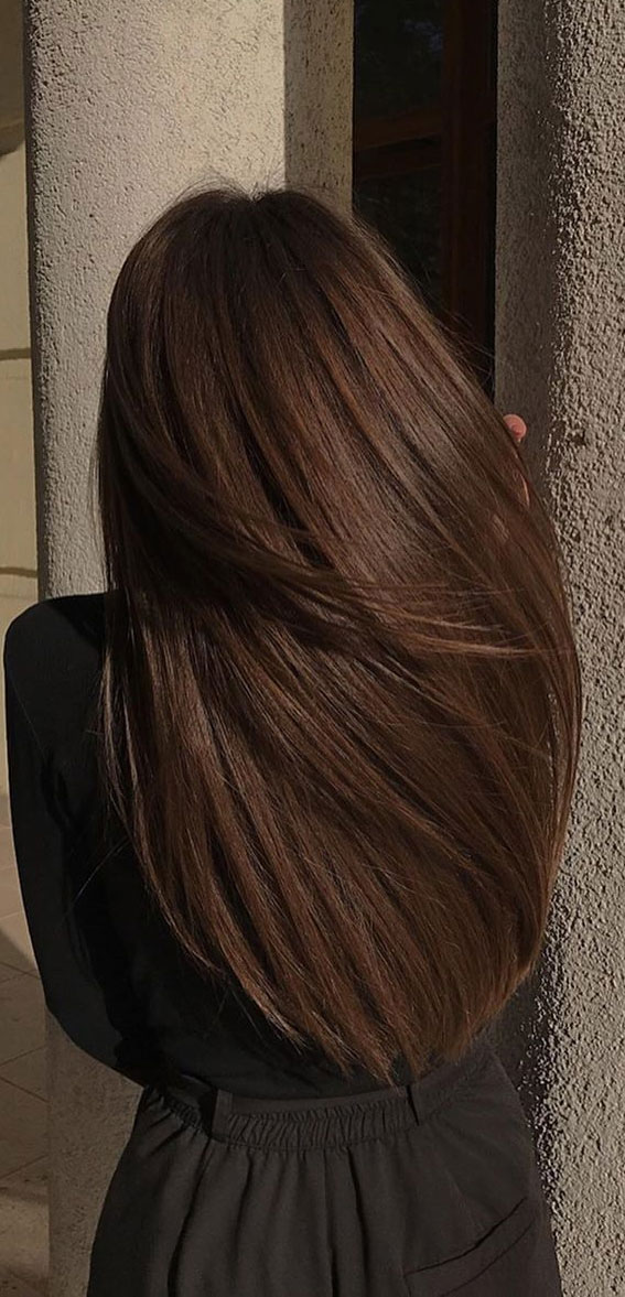 50 Stylish Brown Hair Colors & Styles for 2022 : Smooth Rich Chocolate  Brown Hair