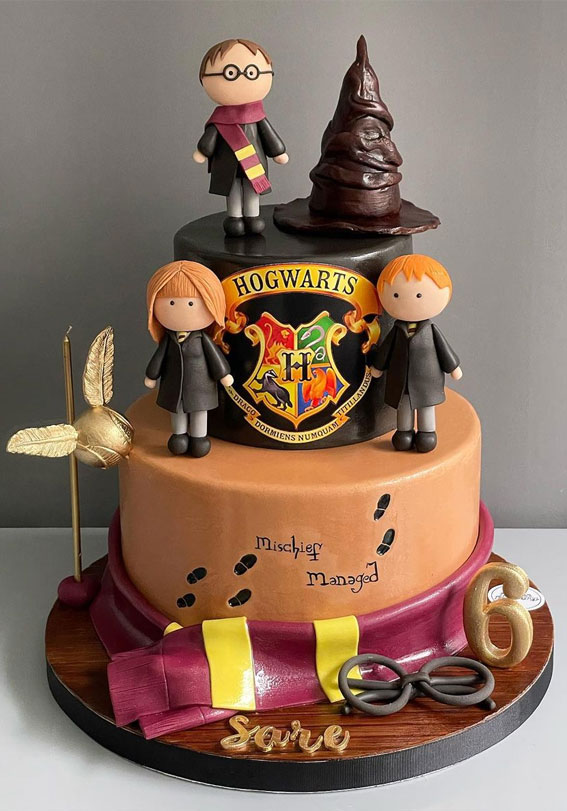 Harry Potter Birthday cake  Harry potter cake, Harry potter birthday, Harry  potter birthday cake