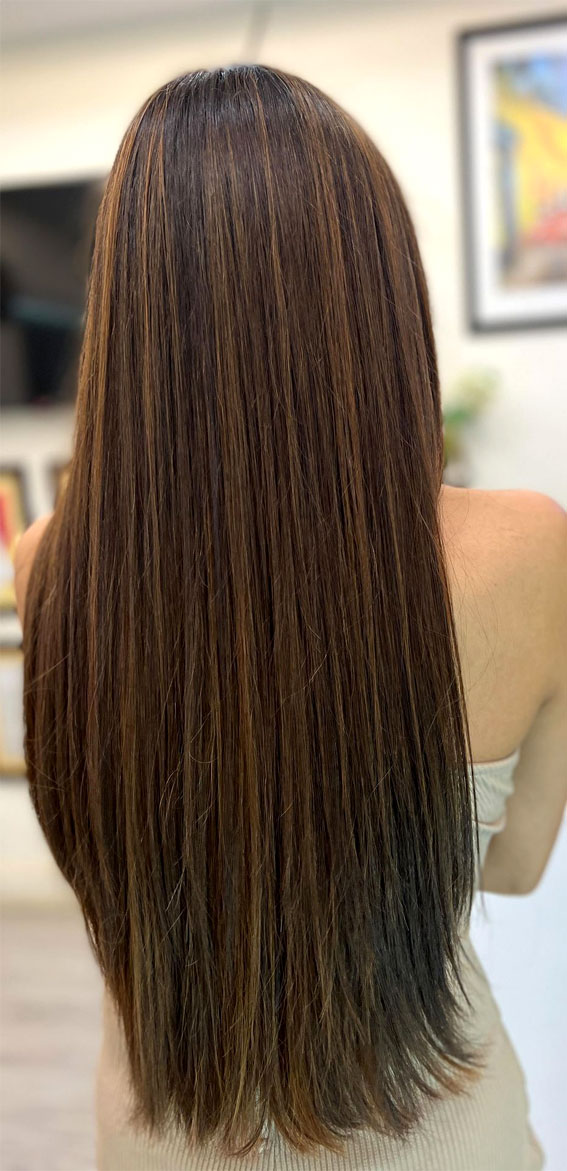 30+ Hair Colour Trends To Try in 2023 : Chocolate Brown Highlights