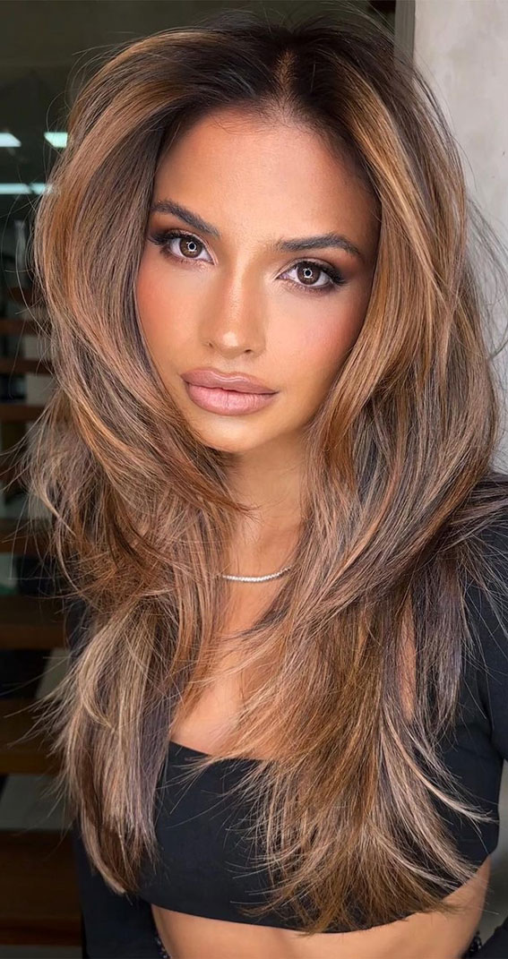 50+ New Haircut Ideas for Women to Try in 2023 : Brown Long Hair with  Highlights