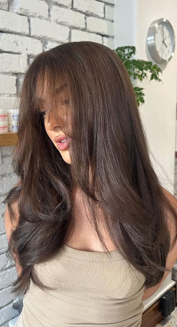 50+ New Haircut Ideas For Women To Try In 2023 : Ash violet brown colour  with a wispy fringe