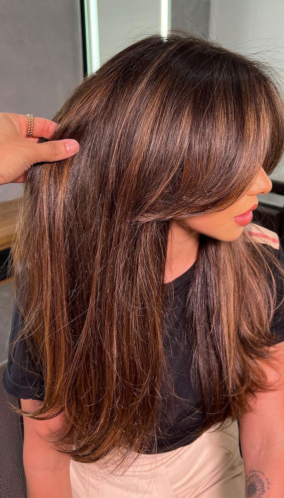 50+ Brunette + Brown Hair Colours & Hairstyles : Brownie with Caramel Highlights