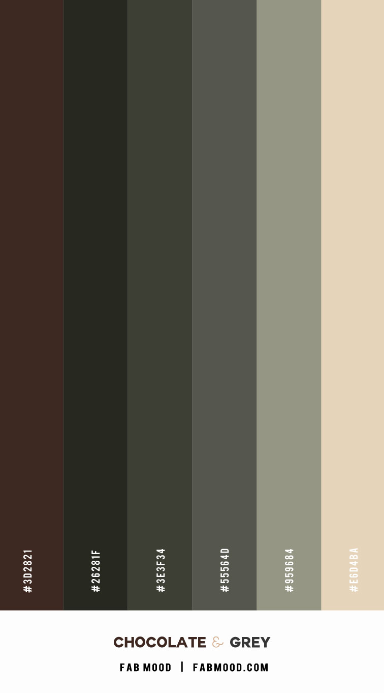 chocolate brown color palette, chocolate and grey, brown and grey color, best color ideas, best bedroom colors, best color combination, top 10 color schemes, brown and grey paint colors, brown and grey color combination, best color for bedroom walls, best colour combinations photos
