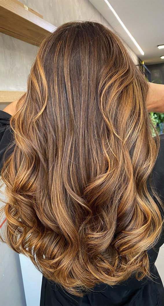 50 Exciting Hair Colour Ideas & Hairstyles for Brunettes : Scotch Whisky Balayage