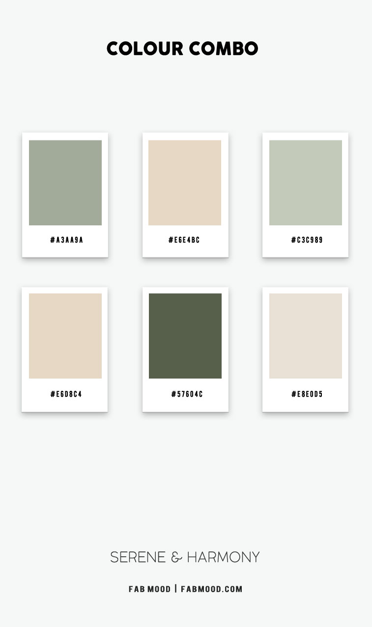 Beige and Green Colour Scheme, Beige and Green Colour Combination
