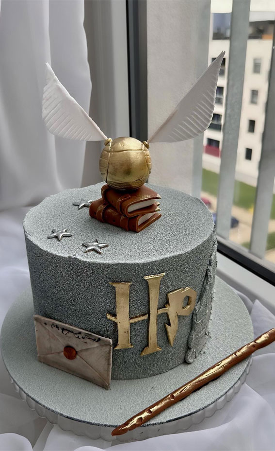 52 Enchanting Harry Potter Cake Ideas For Wizards And Witches : Grey Concrete Cake