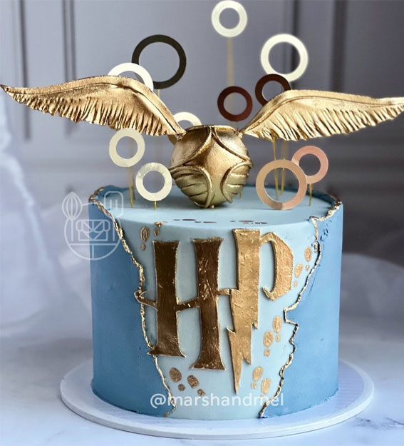 52 Enchanting Harry Potter Cake Ideas For Wizards And Witches : Shades of Blue Cake