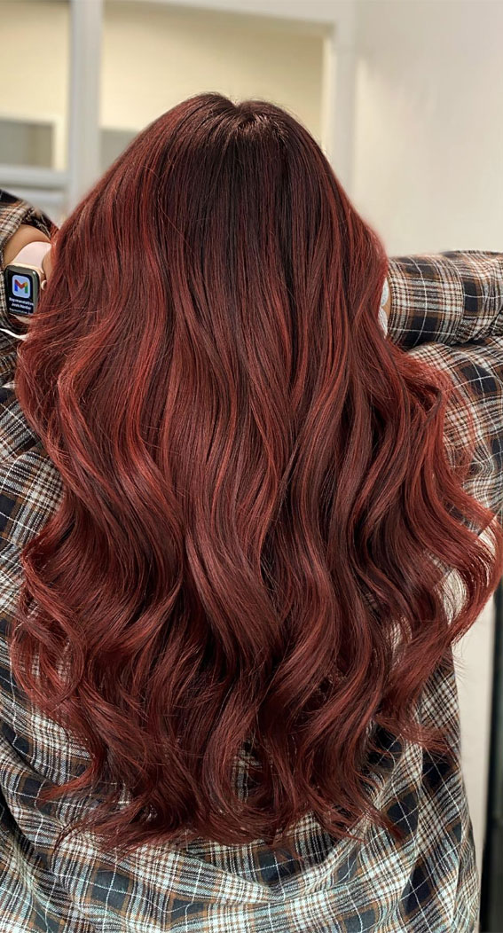 Enchanting Hair Colour Trends To Illuminate 2024 : Ruby Copper Hair Colour