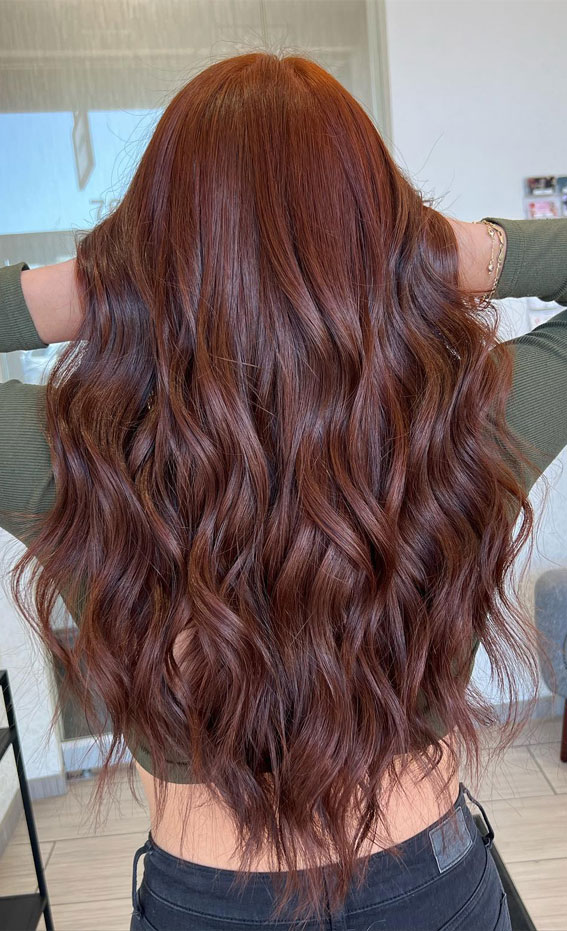 Inspired Chromatic Charisma Hair Colour Ideas for Every Season : Radiant Copper Brown