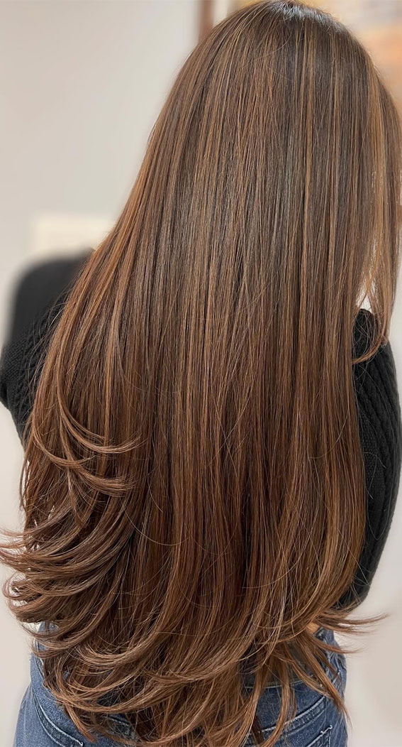 22 Trending Hair Colours 2024 To Refresh Your Current Look : Classic Elegance Toffee Brown