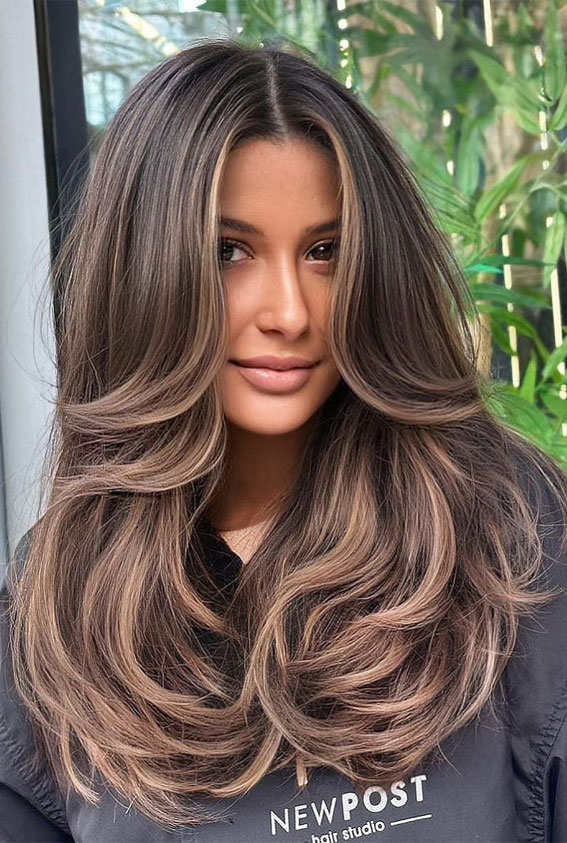 22 Trending Hair Colours 2024 To Refresh Your Current Look : Dark Hair with Sand Tone Balayage and Beige Highlights