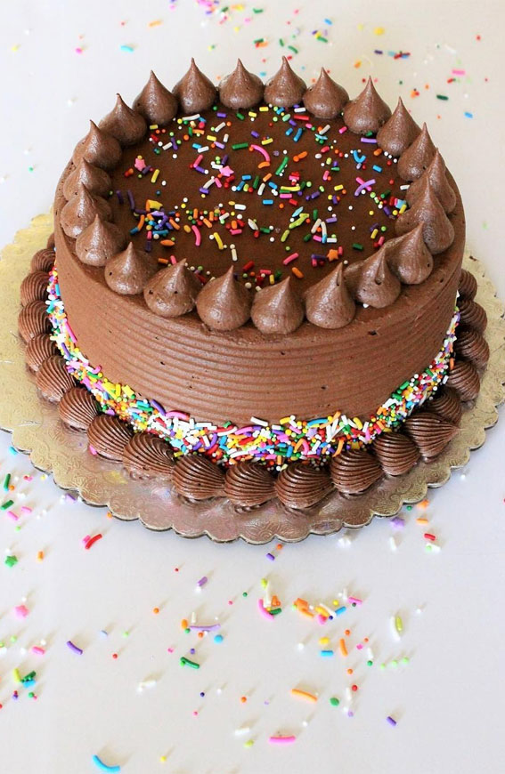 25 Sprinkle Cake Ideas to Sweeten Your Celebration : Chocolate Sprinkle Cake
