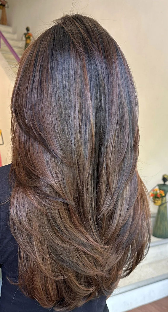 29 Versatile Layered Haircuts that Go Beyond : Layered Haircut with Brown Highlights