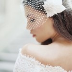 birdcage bridal veil