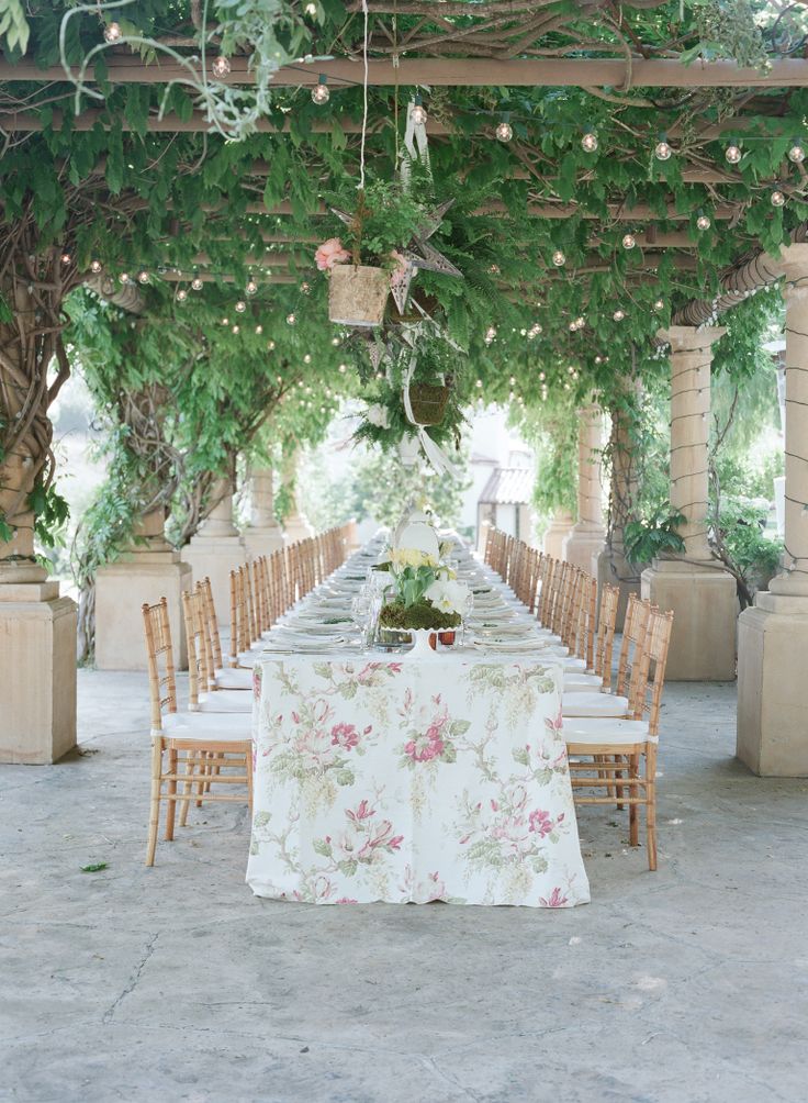 vine yard wedding reception