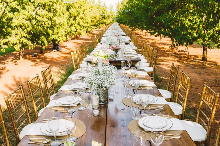 Long Wedding Table in The Peach Orchard | Photography : marymargaretsmith.com | https://www.fabmood.com/a-cozy-fall-wedding-in-the-peach-orchard #peach #fallwedding