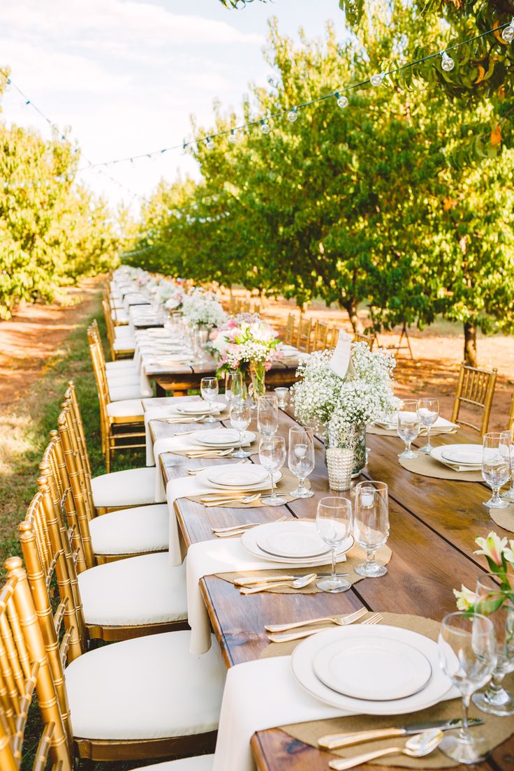 Wedding Tablescapre in The Peach Orchard | Photography : marymargaretsmith.com | https://www.fabmood.com/a-cozy-fall-wedding-in-the-peach-orchard #peach #fallwedding