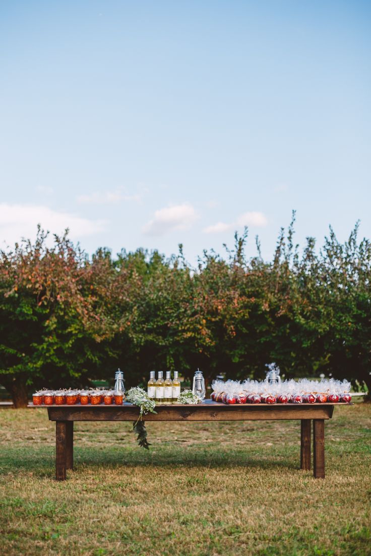 wedding reception in The Peach Orchard | Photography : marymargaretsmith.com | https://www.fabmood.com/a-cozy-fall-wedding-in-the-peach-orchard #peach #fallwedding